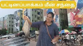 பட்டினப்பாக்கம் மீன் சந்தை -நொச்சிக்குப்பம்| FRESH FISHSES AVAILABLE | FISH MARKET