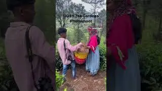 Ooty Tea ☕️ Garden Photoshoot 📸 #youtubeshorts #shortvideo #shorts #ooty #travelvlog #photoshoot