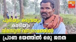MUTHANGA WAYANAD WILD ANIMALS KUMAZHI KACHILGRAMAM കാച്ചിൽ ഗ്രാമം എന്ന കുമഴി വനഗ്രാമം.