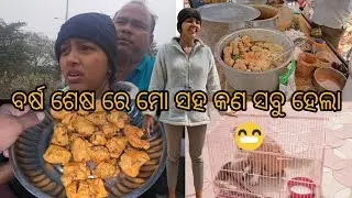 ମାମୁ ପାଇଁ ଆଜି କନ୍ଦିଲି | ଘର ପାଇଁ ନେଲି special ଦହିବରା | ଆମ ନୁଆ ଘର member ର ନା କଣ | #vlog 129