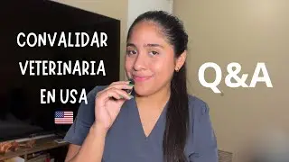CONVALIDAR VETERINARIA EN USA I Q&A, paso a paso