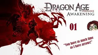 Becoming a Warden Commander&hellip; 🟣 Part 1🟣 Dragon Age: Awakening