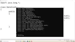 2.2 : Check Size & Range of Data Types | [Abdul Bari] Java Corse