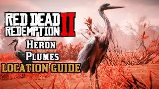 Heron Plumes - Location Guide | Red Dead Redemption 2