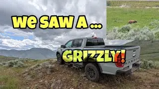 Multiple bear sightings!! Exploring the Okanagan in our Ford Ranger Tremor.