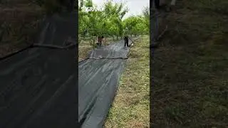 Weed Barrier Ground Cover, Weed Control Mat Manufacturer, Landscape Fabric For Drainage