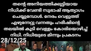 Kattathe kilikkoodu#28/12/25 |  നീതി പണിതുടങ്ങി. ഹരീഷിനെ തലയിൽ വെള്ളം കോരിയൊഴിച്ച് നിധി