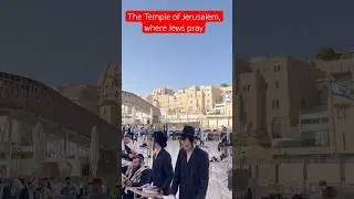 ll The Temple of Jerusalem, where Jews pray #hollyland #jerushalem ll