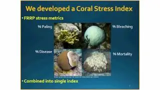 &ldquo;Identifying Coral Stress 'Hot Spots'&rdquo;   John Fauth & Danny Goodding