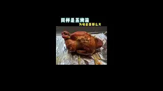 要想蒸烤箱不闲置，你得这么买#方太创享家蒸烤一体机 #方太蒸烤烹饪机 #原来家电还可以这样