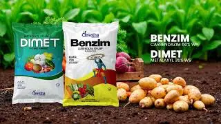 Grow Better with Devatha Agro Farms 🌱 | Trusted Crop Protection Solutions | Fungicides