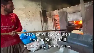 Nahla Valley, Northern Iraq. Juleh Village Sesame Butter Mill