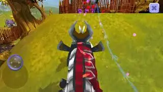 Horse Rding Tales
