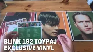 Limited Edition Vinyl! Blink-182 - Take Off Your Pants and Jacket.