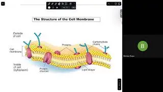 📚 Science &ndash; Cell Theory|After SEE Bridge Course |+2 Science, A-Level, CTEVT, PCL Nursing|NOS Academy