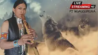 Live Performance #subscribe #native #music #like