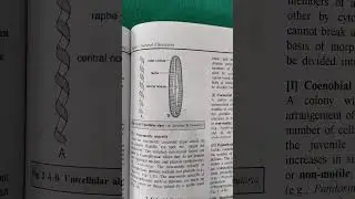 plz# Like & subscribe# General characteristics of algae& range of the thallus# trending shorts 📷##