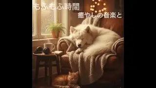【夜の癒しBGM】静かな時間に、心を解き放つ。｜ Blue Moon – Soft Piano Lofi 🌙✨