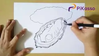 How to Draw Oyster step by step