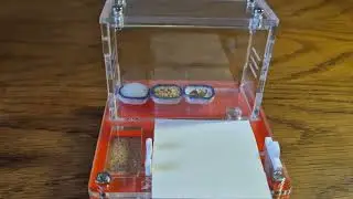 Unboxing et arrivé d'une nouvelle espèce : Messor Barbarus