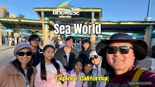Orca Killer Whale Encounter Show | Travel Video