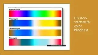 Photoreceptor Cascade..