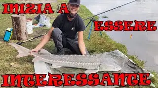 PESCA ALLO STORIONE : INIZIA A ESSERE INTERESSANTE
