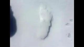 Southwest plains Sasquatch of Colorado