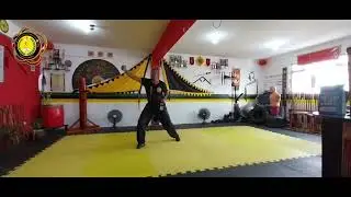 Punho de Lohan kung fu Fu Jow Pai (Professor Fabr&iacute;cio) N&Uacute;CLEO DE KUNG FU PUNHO DO SUL