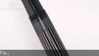 Pelikan ペリカン 万年筆 スペシャルエディション スーベレーン M815 メタルストライプ EF
