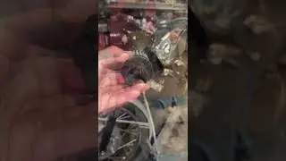Черт возьми! Удачи в поисках сменных воздушных фильтров для этого классического мотоцикла! #реста...