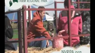 corn maize 092309 Med Prog 001
