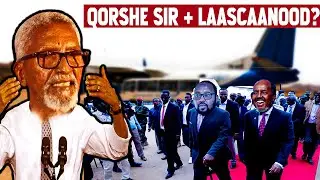 Fashil Culus: Safarka Xasan Sh & Amniga laascaanopd, Somaliland & Puntland oo isha lagu hayo, Fiqi