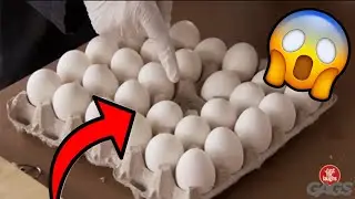She stole an egg on camera... | Just For Laughs Gags