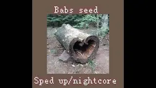 𝑀𝑙𝑝－𝑏𝑎𝑏𝑠 𝑠𝑒𝑒𝑑 {𝑠𝑝𝑒𝑑 𝑢𝑝／𝑛𝑖𝑔ℎ𝑡𝑐𝑜𝑟𝑒}✨