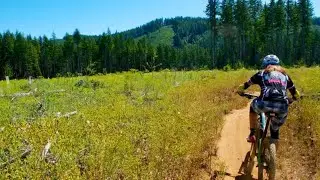 Capitol Forest is the perfect place for beginner mountain bikers