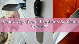 Review GoodCook Precision Santoku Knife 7