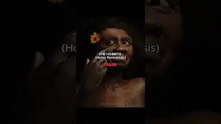 The Last Chapter of Humanity - Homo sapiens 😳 #prehistoric #prehistorichumans