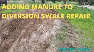 Adding manure to filled area of diversion swale
