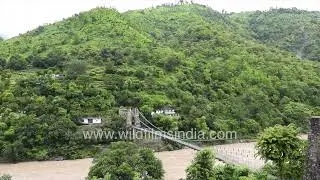 Verdant green valley forest and brown monsoon flooded view of Saryu River in Champawat, Uttarakhand