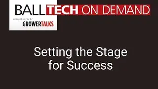 Audio Files: Setting the Stage for Success