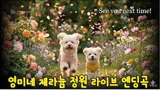 【4K】영미네 제라늄 정원 (엔딩곡)