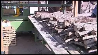 TL 1000 PROFESSIONAL Pezzolato firewood processor