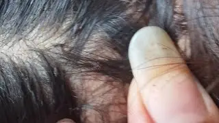 Cleaning lice from her #mahi lice