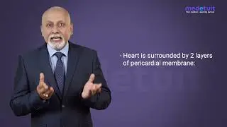 Functional Anatomy of Heart | Anatomy | Cardiovascular
