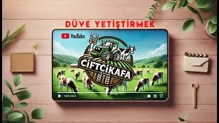 Konumuz Düve Yetiştiriciliği - Özer Tarım ve Hayvancılık