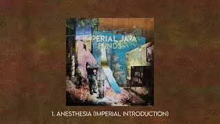 Anesthesia (Imperial Introduction)