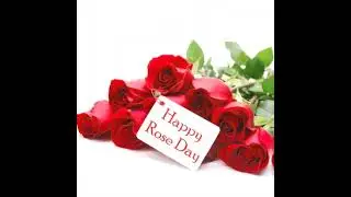 Happy Rose Day🌹 #lovestatus ❤️ #shorts