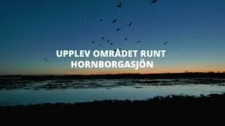 Upplev omr&aring;det runt Hornborgasj&ouml;n fr&aring;n gryning till skymning!