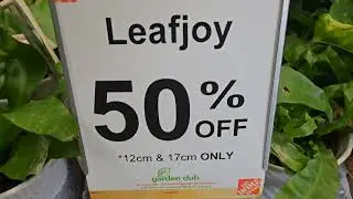 Home Depot Plant Sale #leafjoy #variegatedplants #plantshopping #houseplants #plants